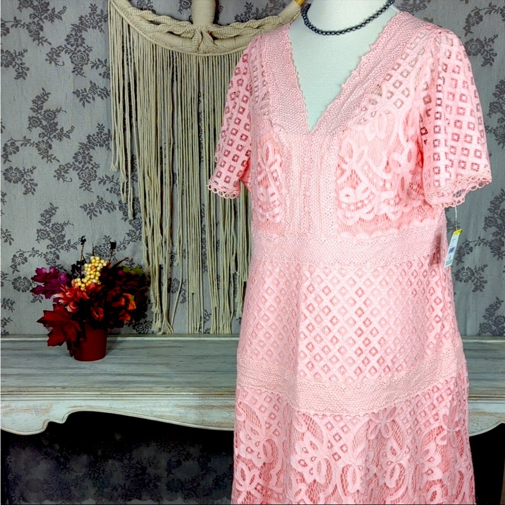 Simply Emma Pink Lace Fit And Flare Dress